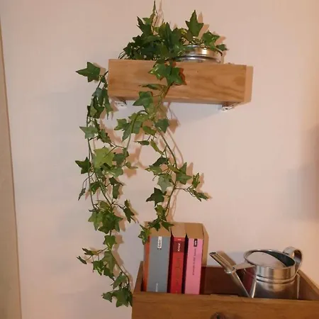 Harzapart, Apartment II 